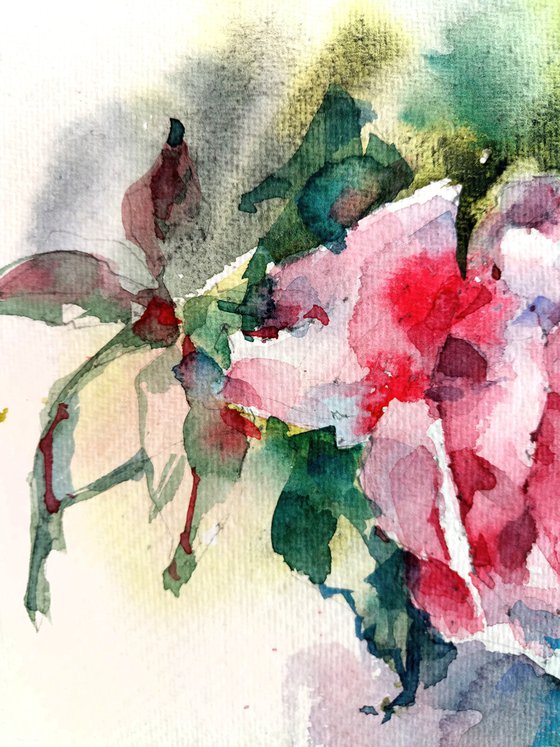 "Scent of rose" original watercolor