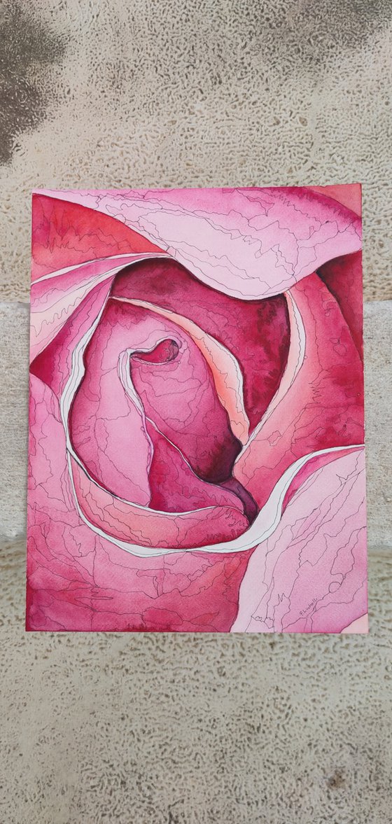 Abstract rose