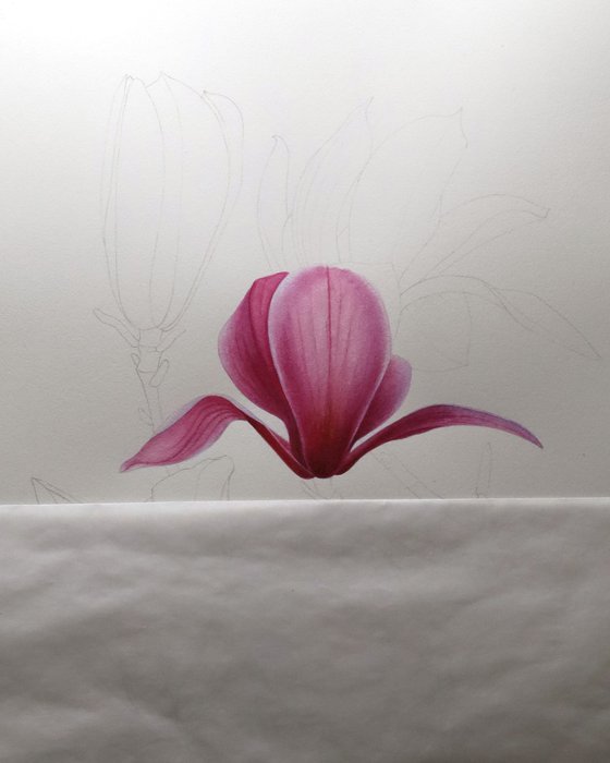 Magnolia Whisper