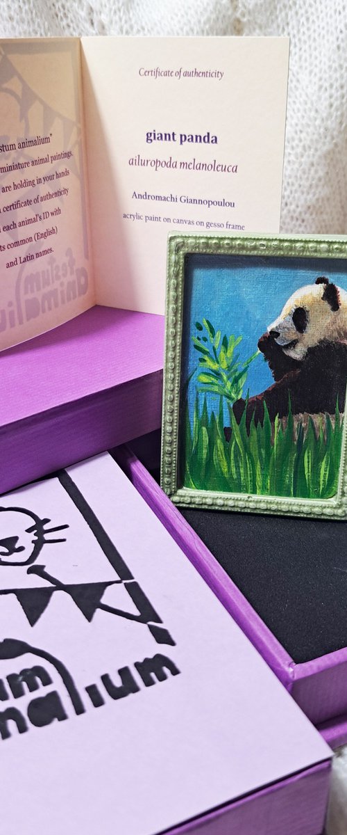 giant panda, part of framed animal miniature series "festum animalium" by Andromachi Giannopoulou