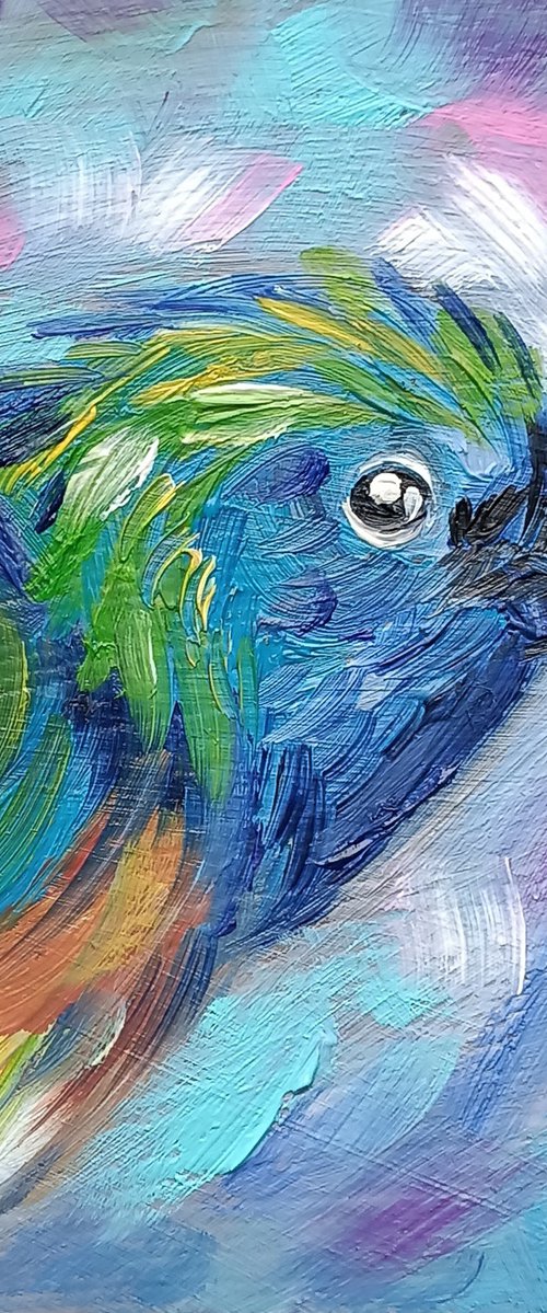 Bird - oil painting, face, animal, birds, gift idea, small size, postcard size, postcards, hummingbird by Anastasia Kozorez