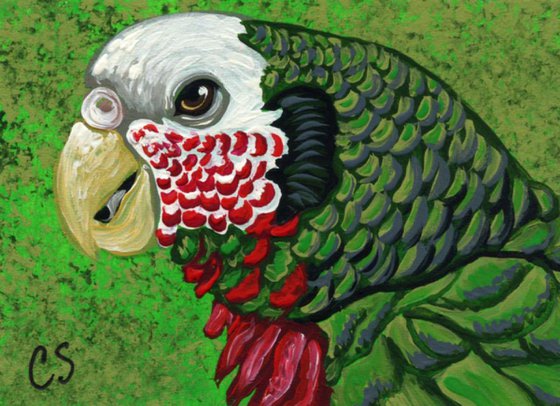 ACEO ATC Original Painting Cuban Amazon Parrot Bird Art-Carla Smale
