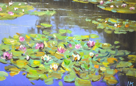 Pond. Water lilies.