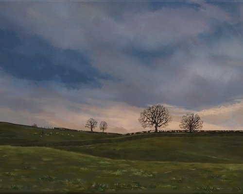 Yorkshire fields by Tom Clay