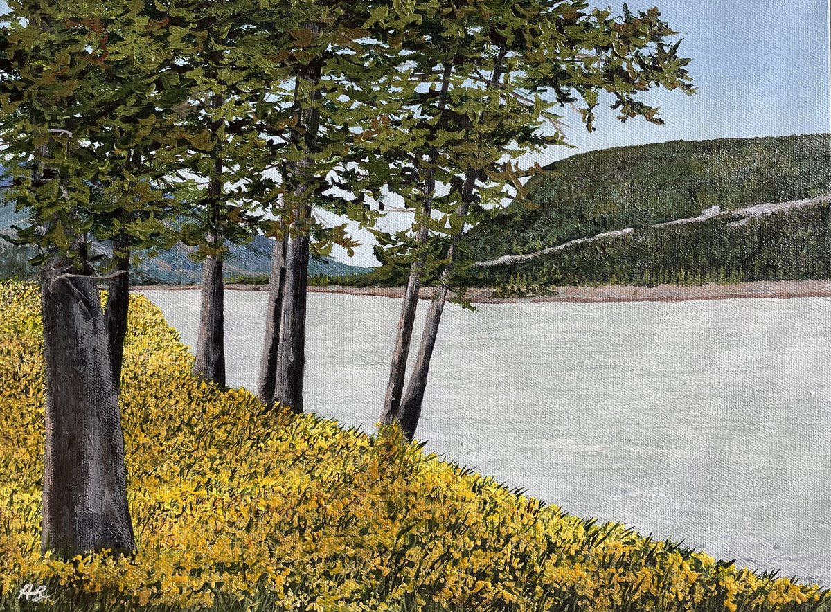 Photorealistic Landscape Acrylic Painting By Anne Shaughnessy, 16 X 12, The Scent Of Summer, Original Artwork