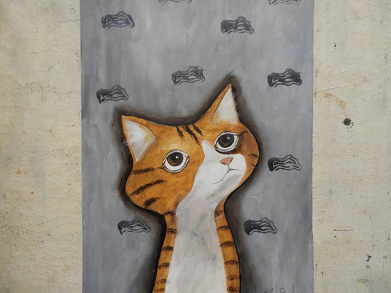 The cat and the clouds