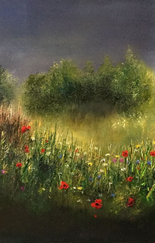 Storm Illumination by Kimberley  Harris