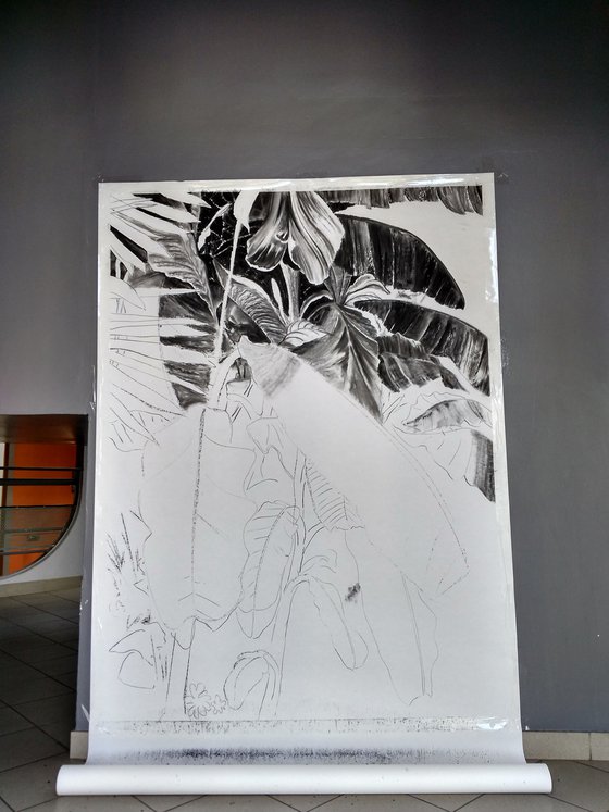 Thick Jungle (Charcoal Drawing)