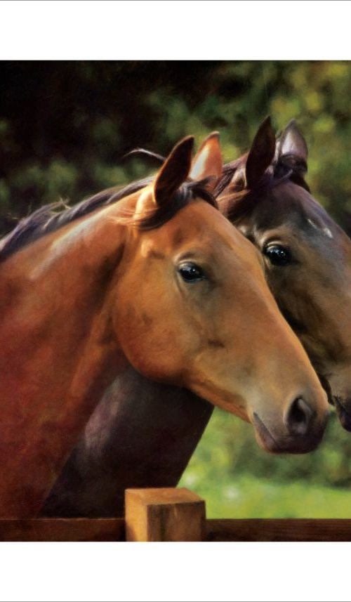 Two Horses by Martin  Fry