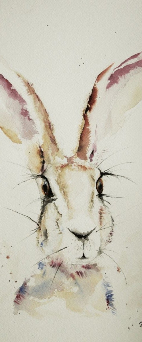 Happy Hare by Tomasz Mikutel