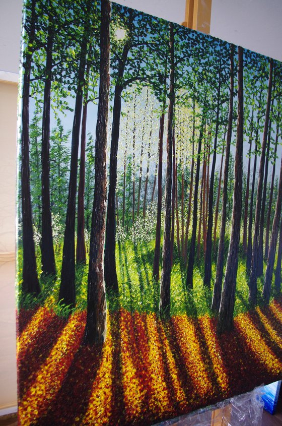 Autumn Forest Light