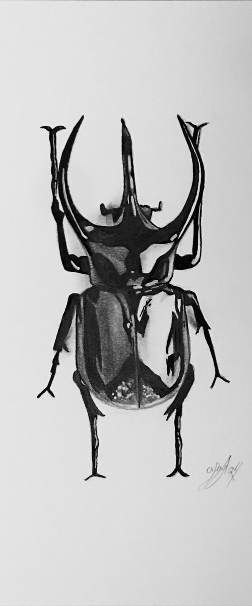 Beetle by Amelia Taylor
