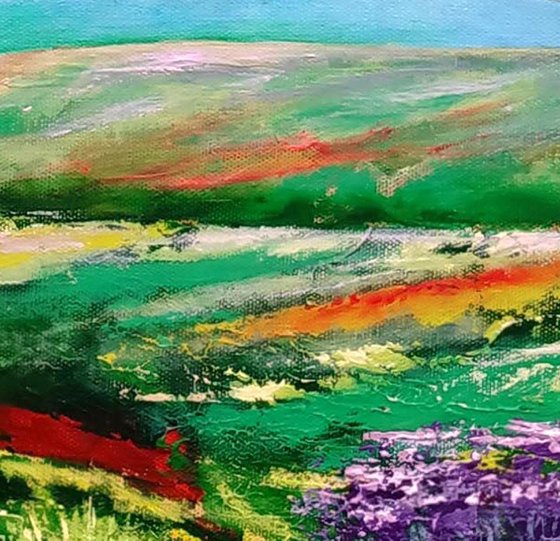 This Wild and Rugged Moor