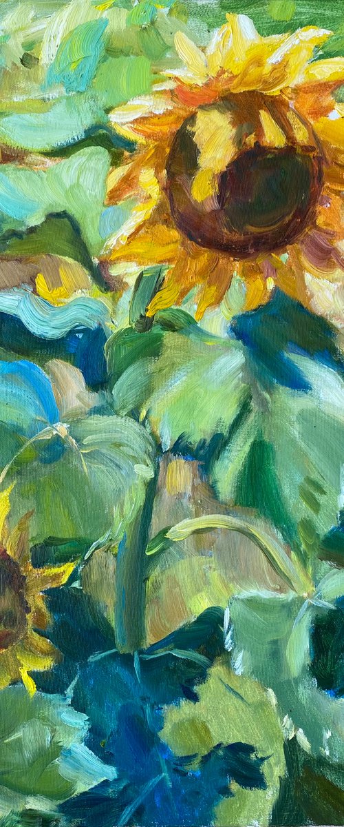 Sunflowers under the sun by Nataliia Nosyk