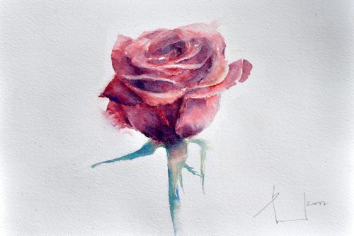QUEEN. RED. ROSE original watercolor 31x23 by Beata van Wijngaarden
