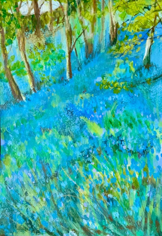 Bluebell Woods
