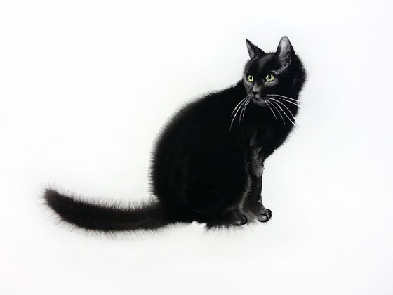 Black Cat In-waiting