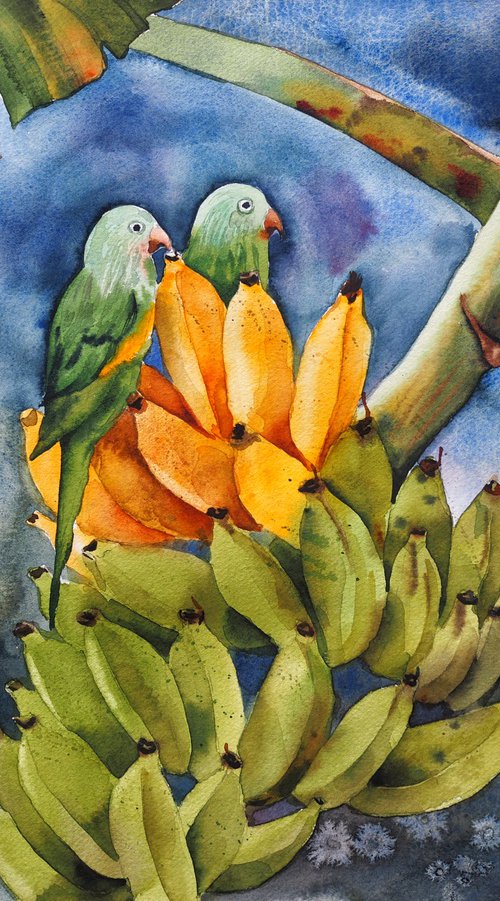 Parrots on a banana branch by Delnara El