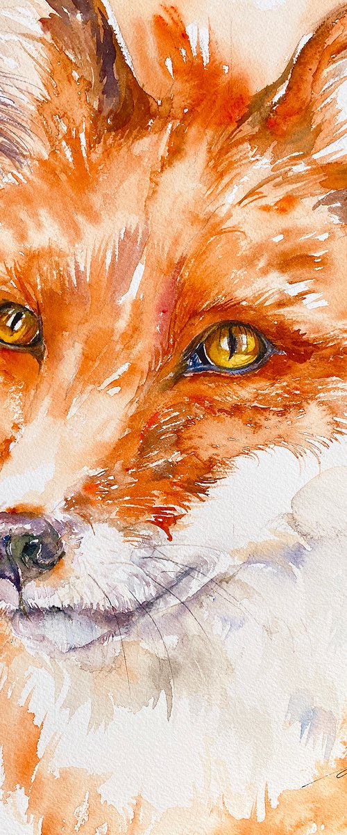 Red Fox Renne by Arti Chauhan