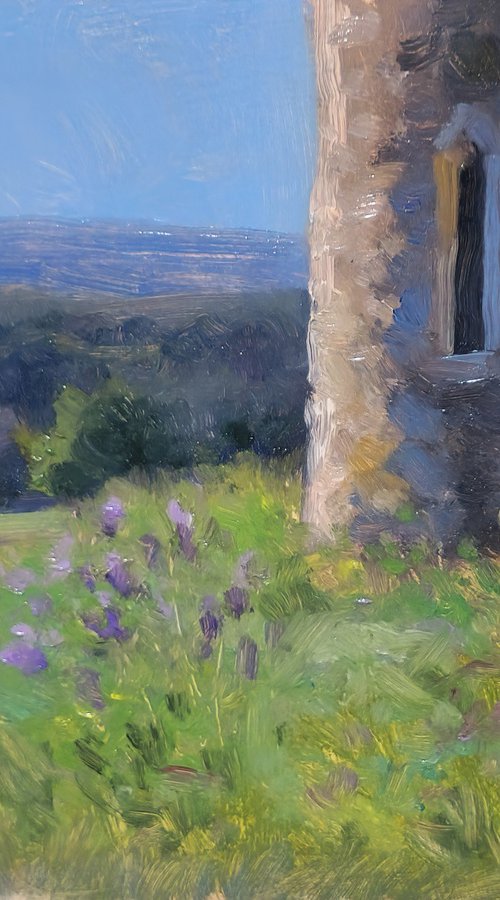 Iris at the edge of the Chapel by Pascal Giroud