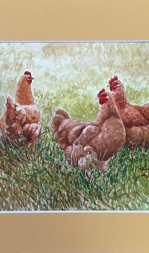 Hens by Jolanta Czarnecka