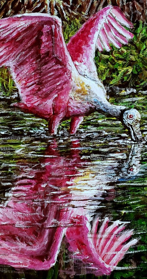 Roseate Spoonbill by Robbie Potter