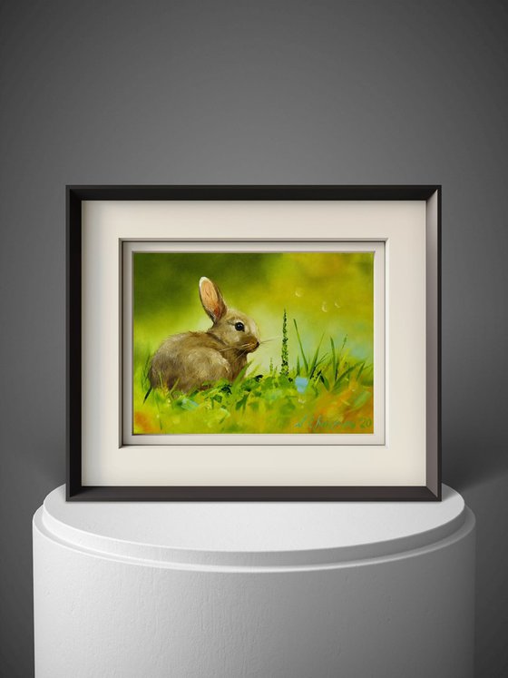 Rabbit