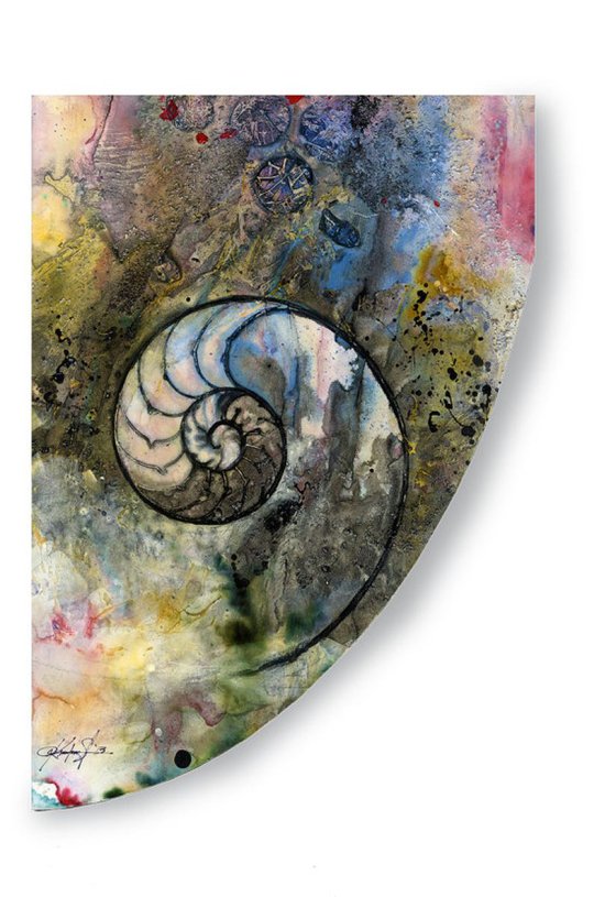Ocean Treasures 12