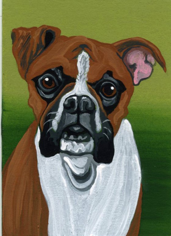 ACEO ATC Original Miniature Painting  Boxer Pet Dog Art-Carla Smale