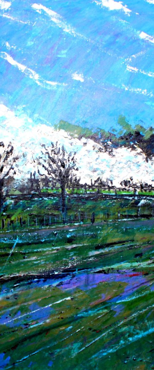 Watercress Line I by Paul J Best
