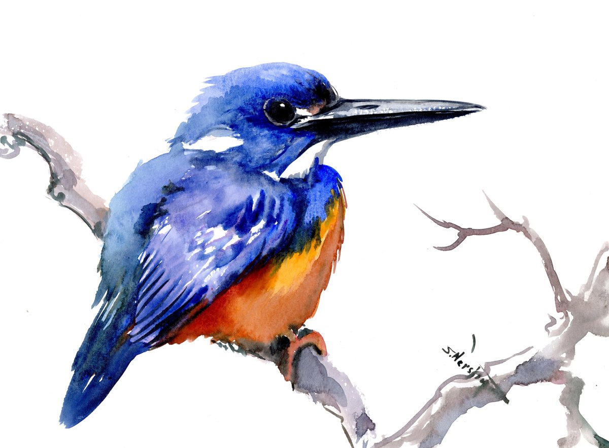 Azure Kingfisher Watercolor Artwork by Suren Nersisyan