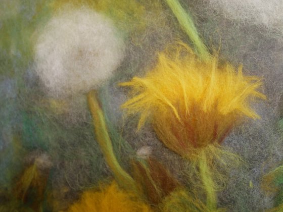 Dandelions