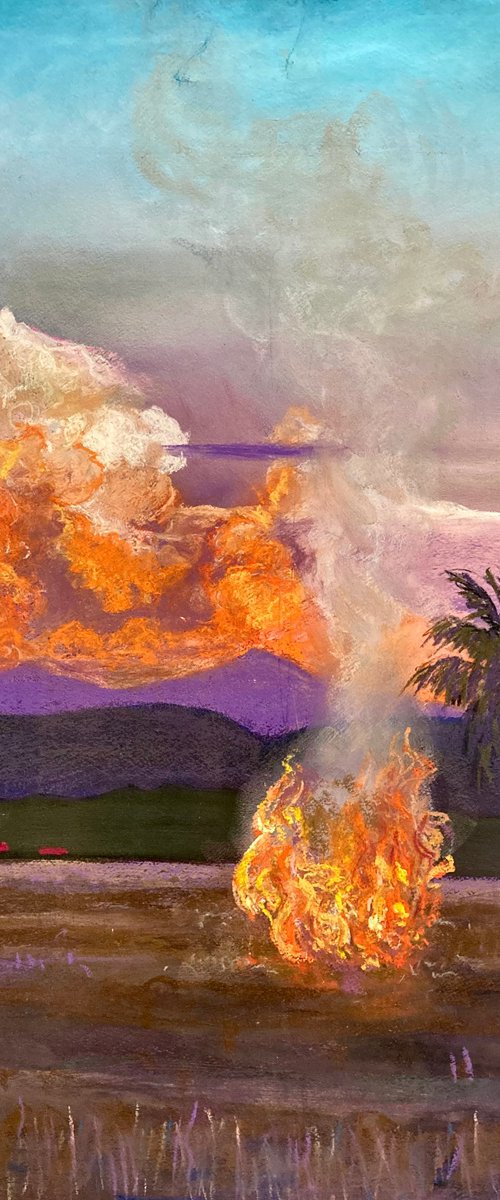 Fire in the field by John Cottee