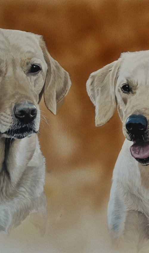 Florrie and Evie by Julian Wheat