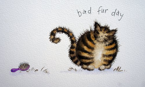 Bad Fur Day by Julia  Rigby