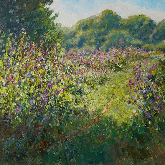 The Sunny Meadow
