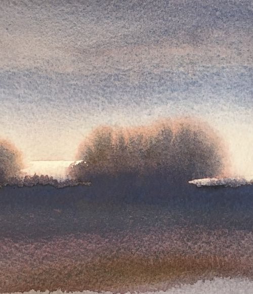A winter hedgerow by Samantha Adams