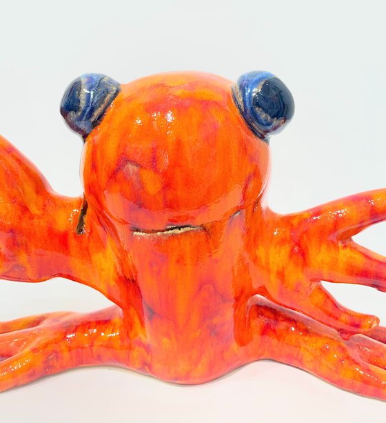 Coral Reef Creature