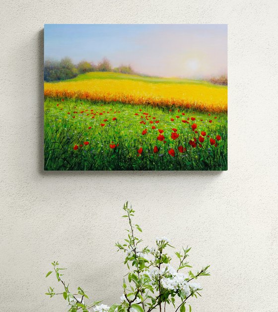 Wheat field in summer