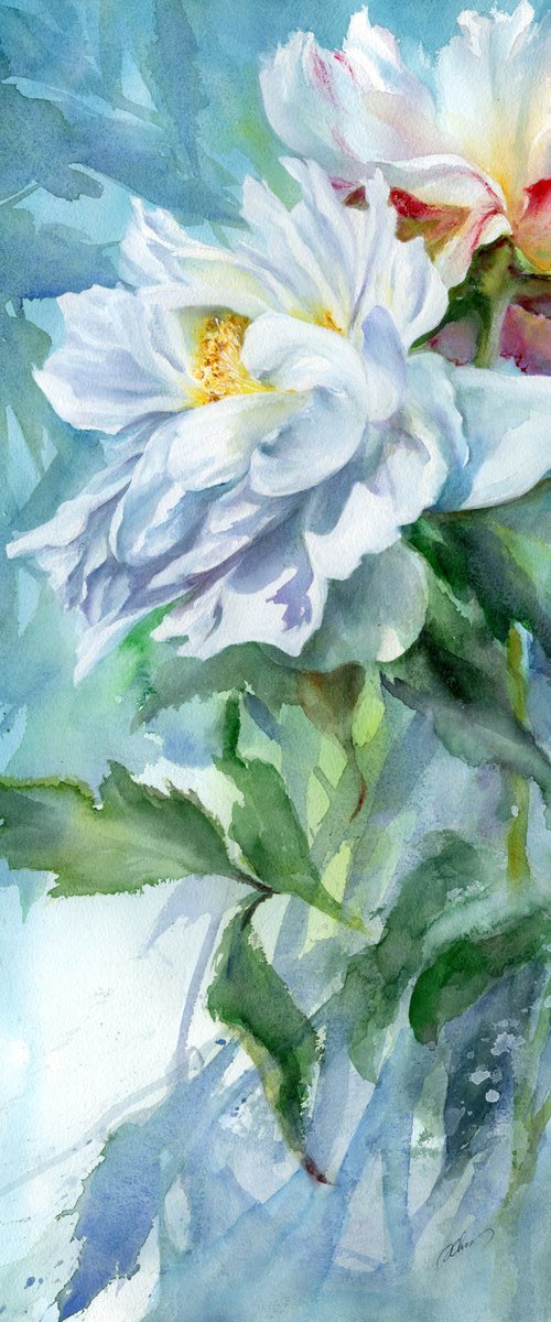 White peonies by Cecilia Xiao