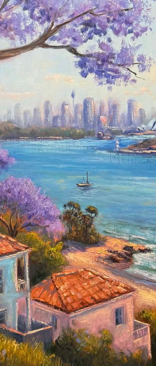 Morning Views Sydney by Christopher Vidal