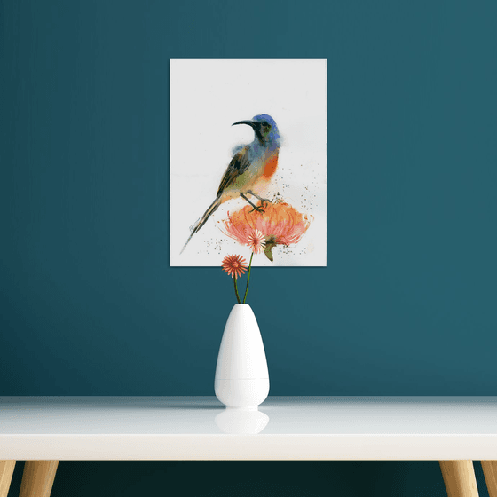 Sunbird on flower