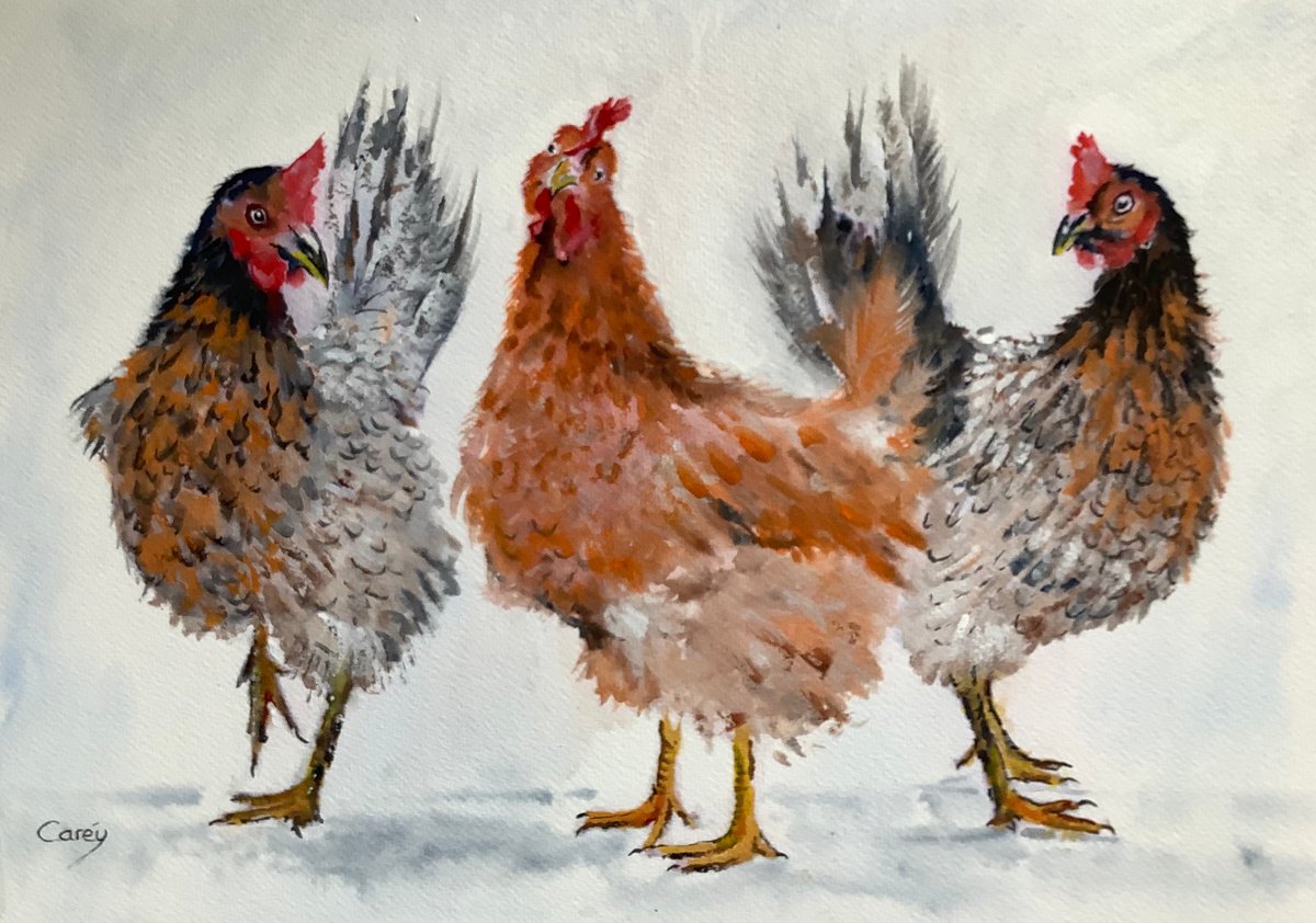 Three Chickens by Darren Carey