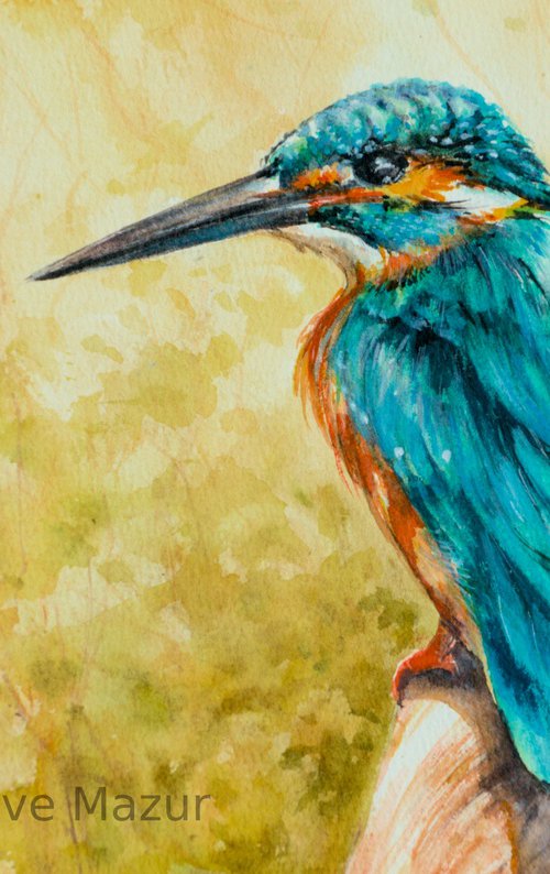 Kingfisher by Eve Mazur