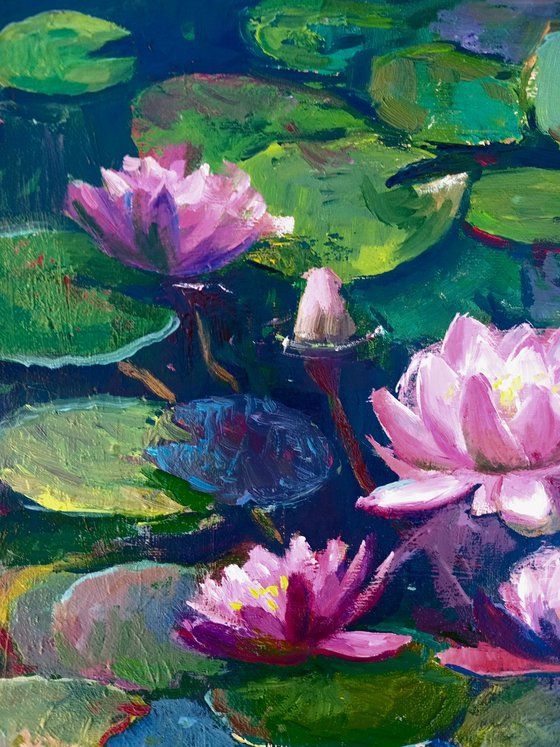 Pond with water lilies