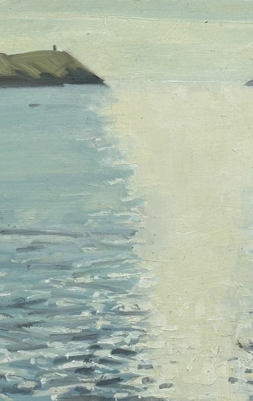 Setting sun, Polzeath by Louise Gillard