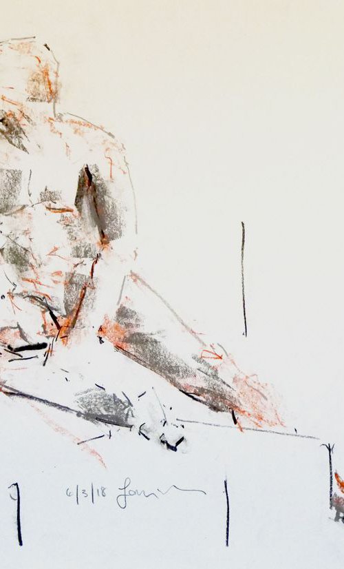 Life Drawing No 269 by Ian McKay