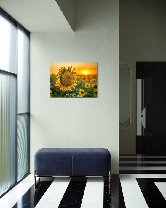 Golden Silence III – Last Light