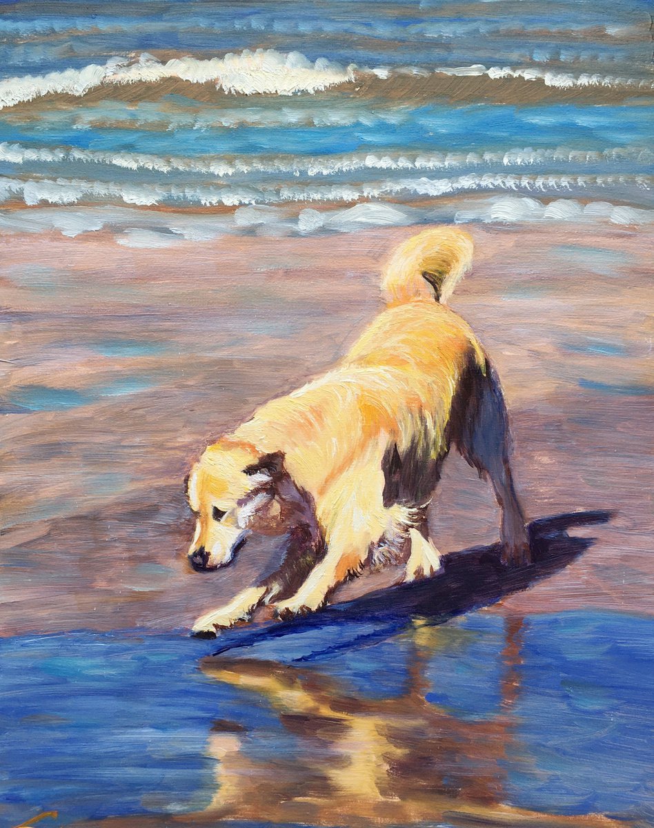 Impressionistic Animal Oil Painting By Elena Sokolova, 16 X 20, Dog At The Sea 4, Original Artwork