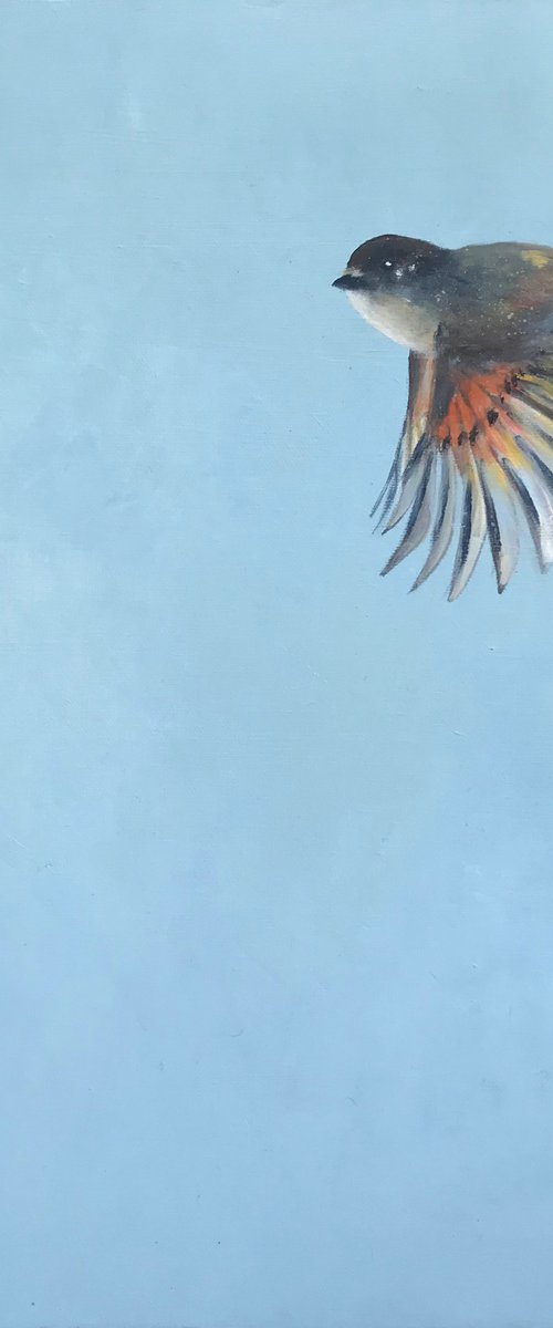 I Wish I Could Fly (Eastern Phoebe) by Laure Bury